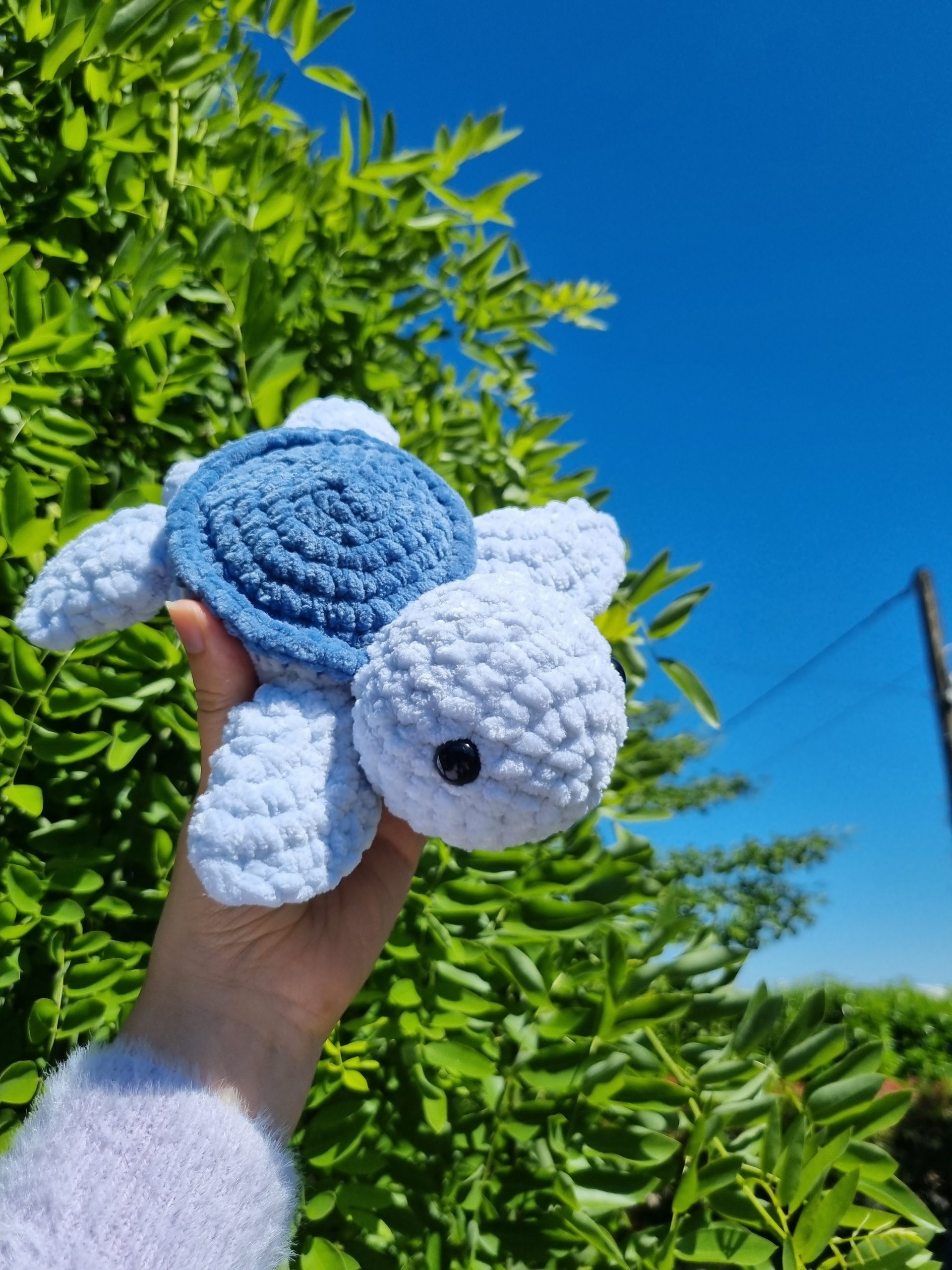 Petite tortue personnalisable