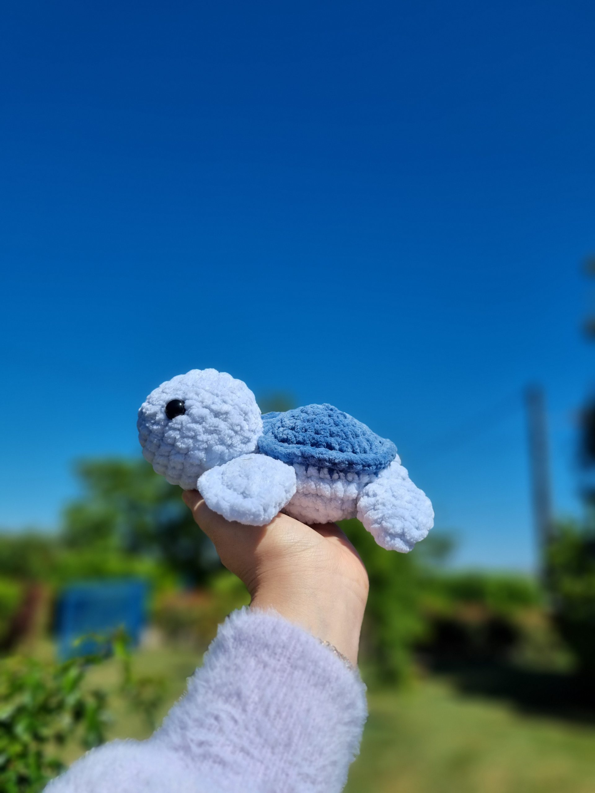 Petite tortue personnalisable – Image 3