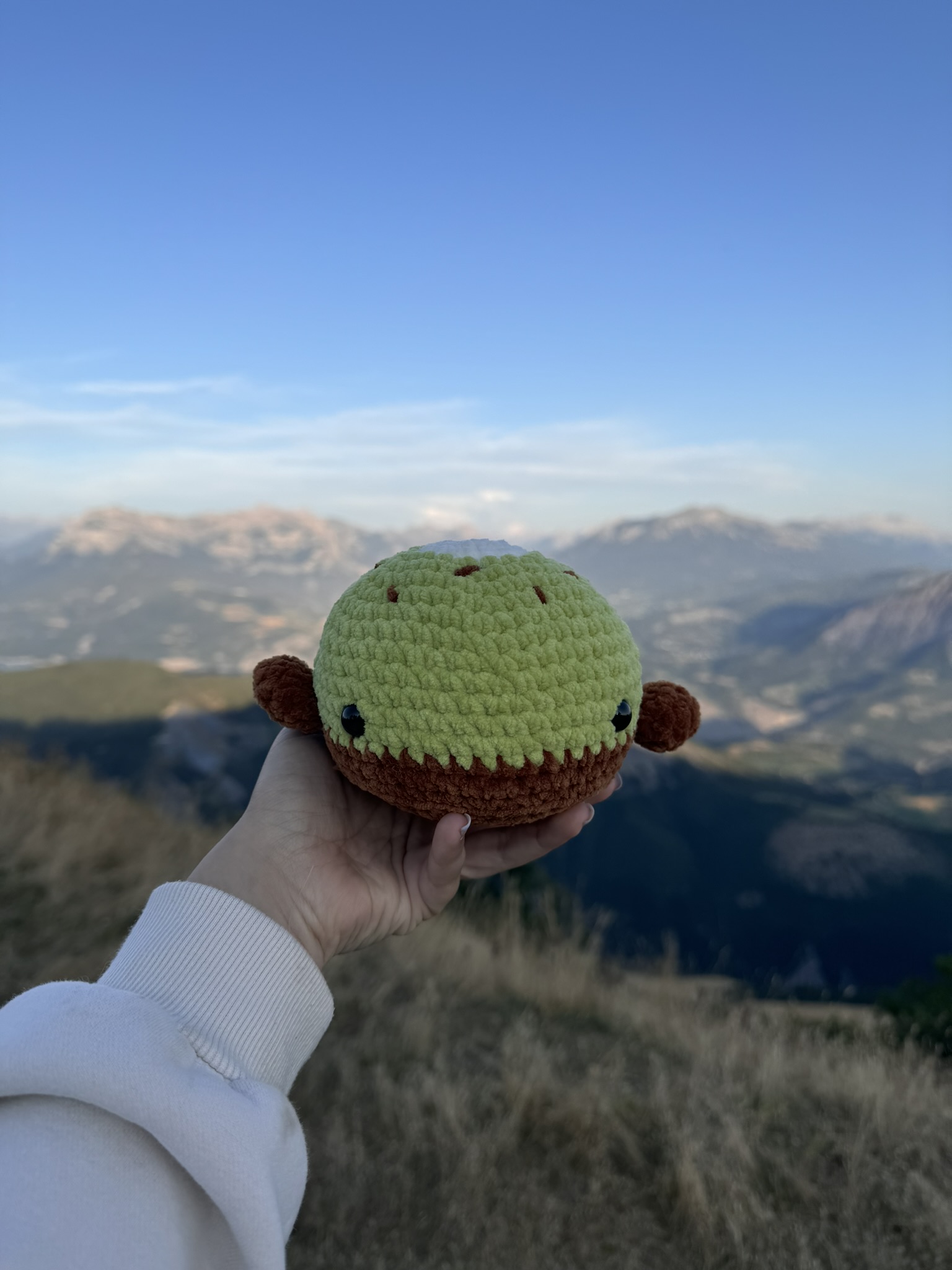 Baleine Kiwi – Image 3