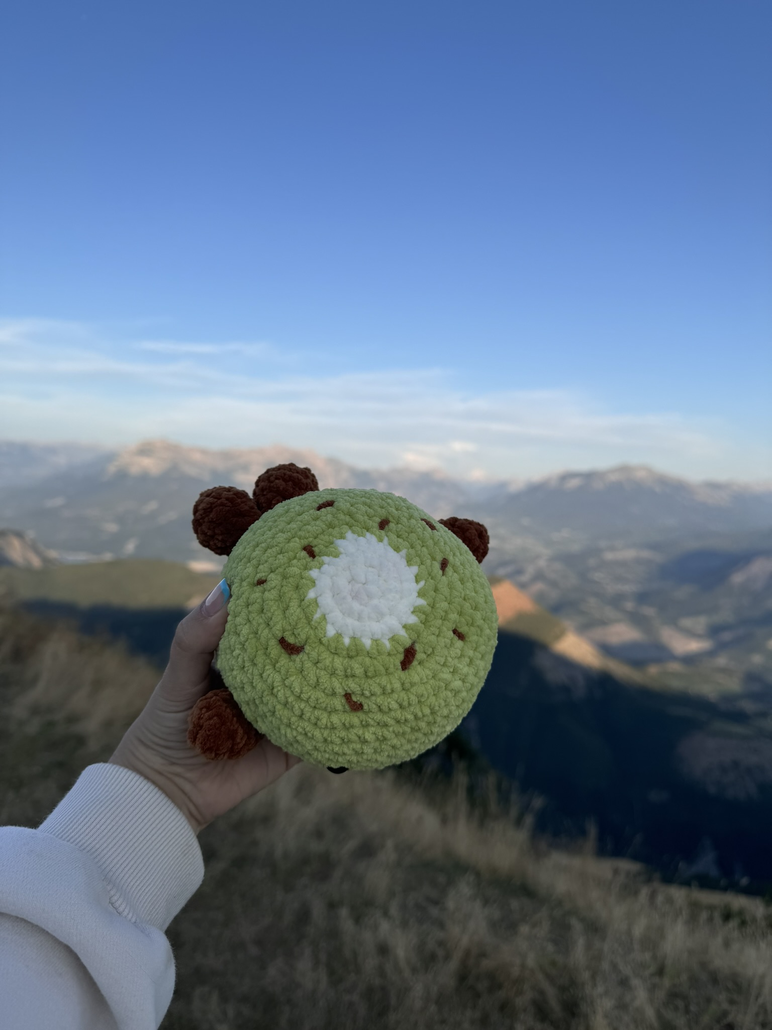 Baleine Kiwi – Image 2