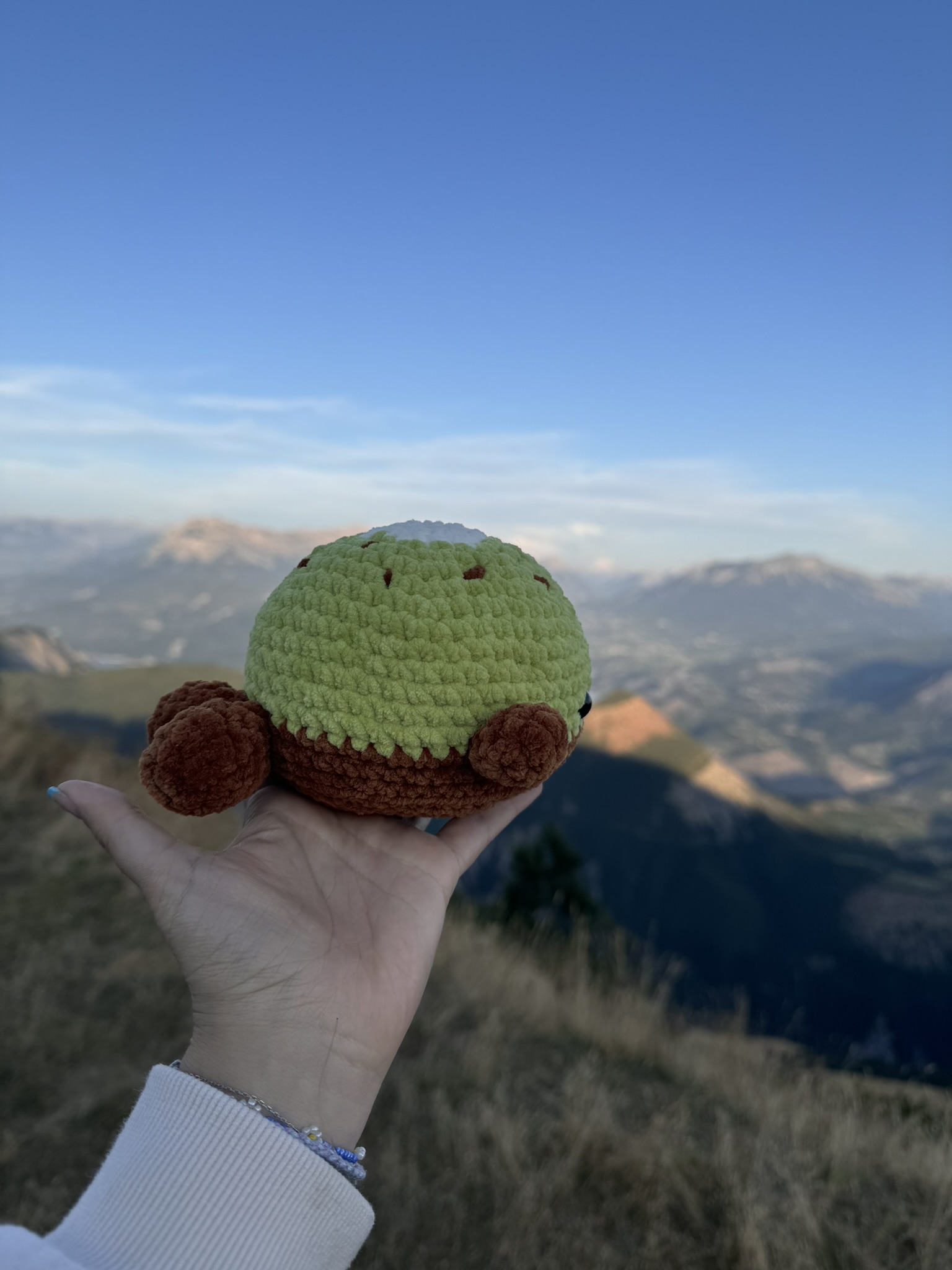 Baleine Kiwi – Image 4