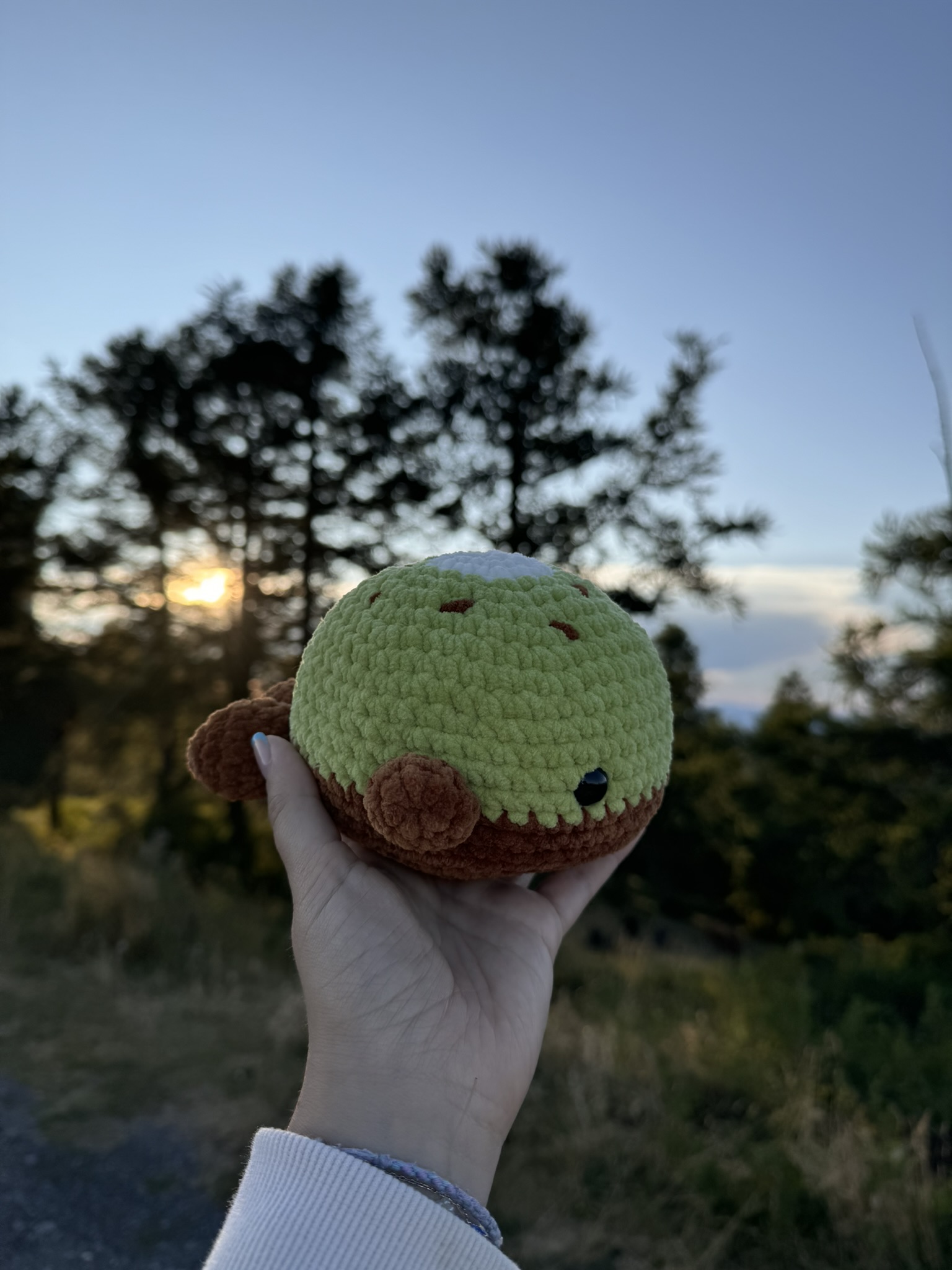 Baleine Kiwi – Image 6