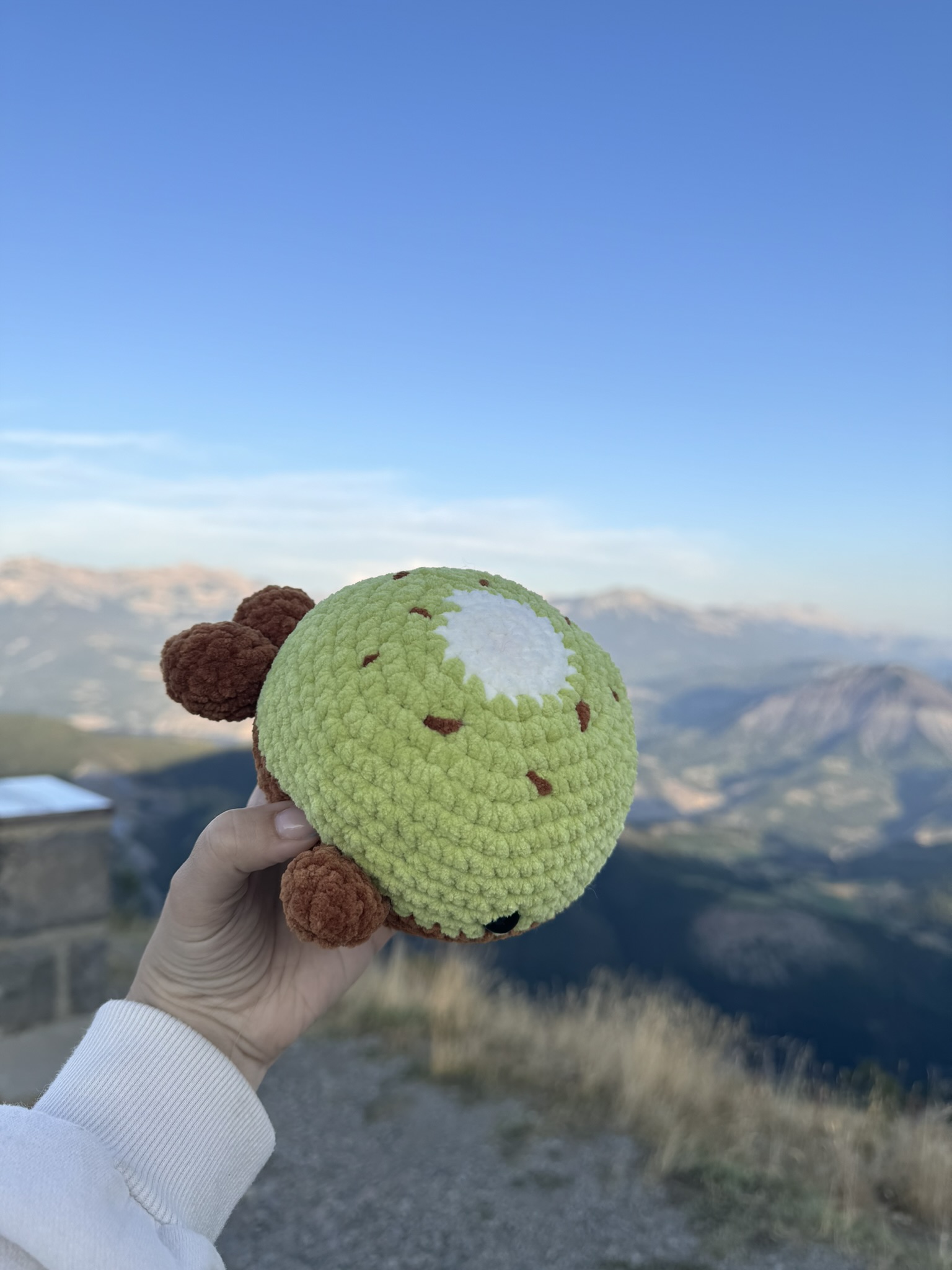 Baleine Kiwi – Image 5