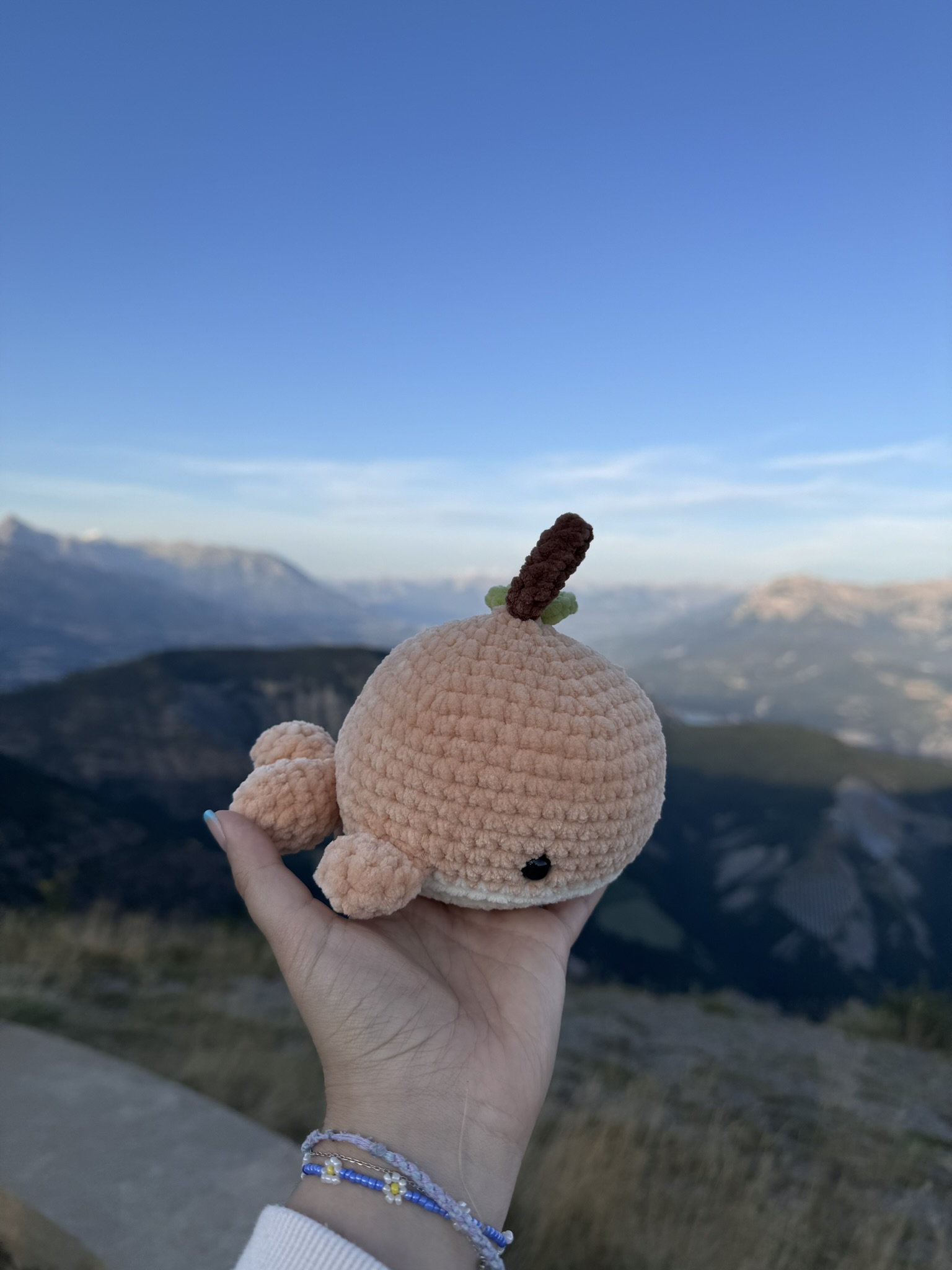 Baleine Peche – Image 5