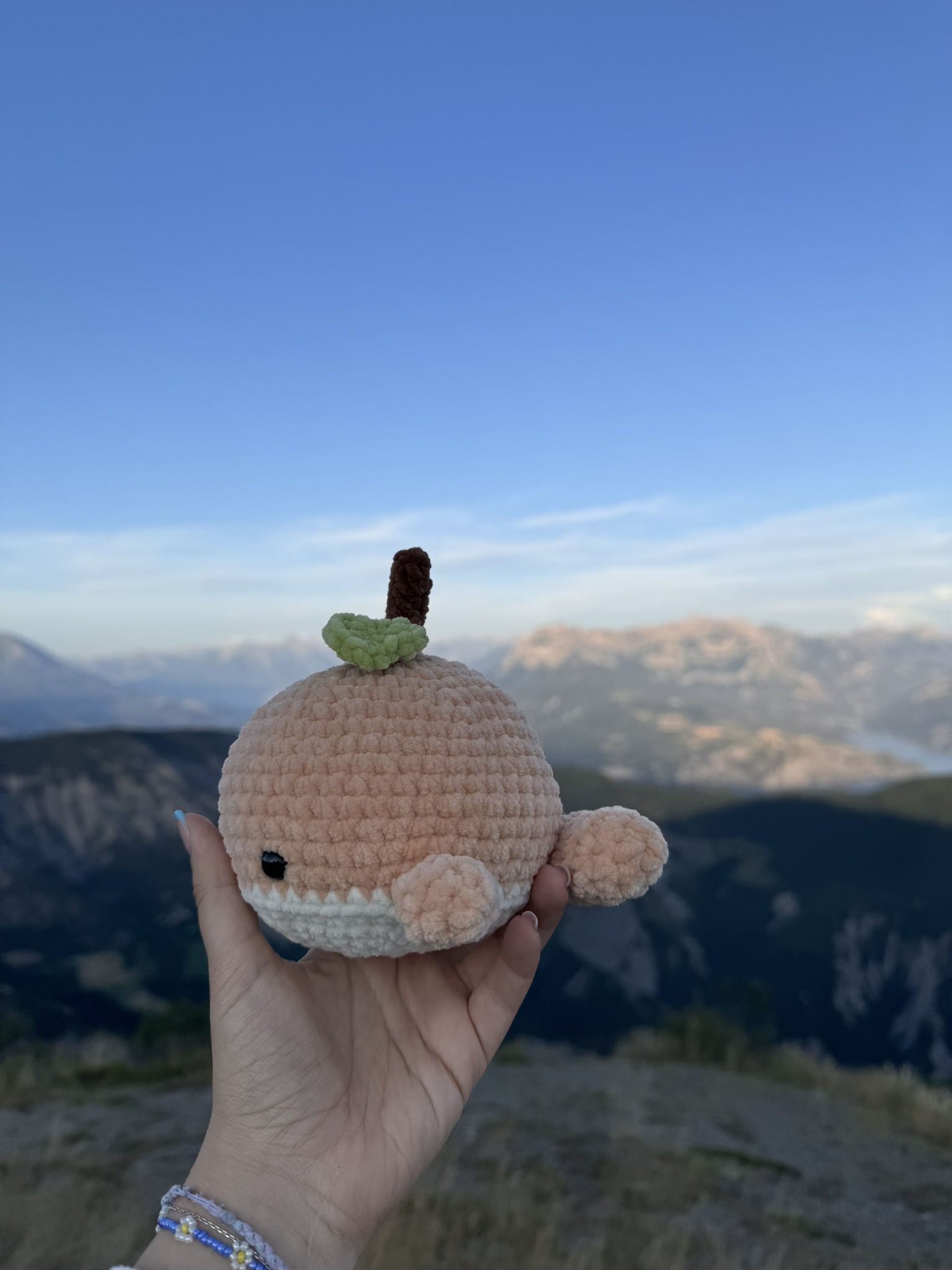 Baleine Peche – Image 3