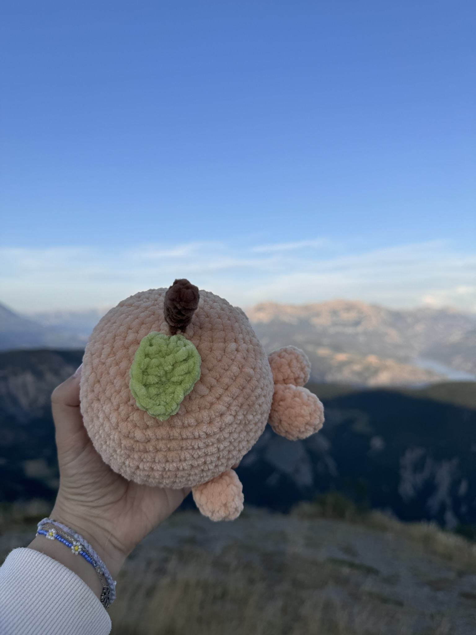 Baleine Peche – Image 4