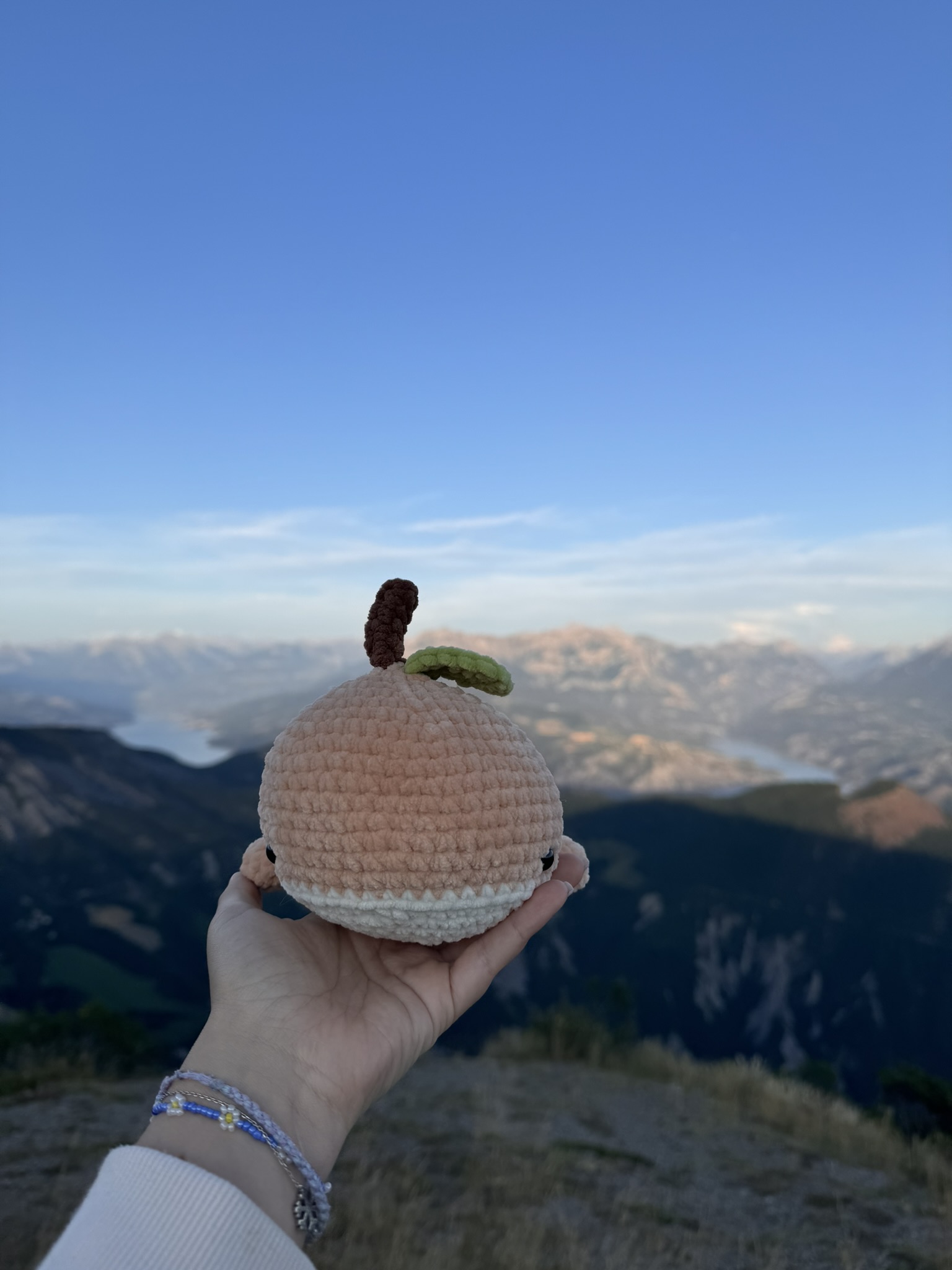 Baleine Peche – Image 2