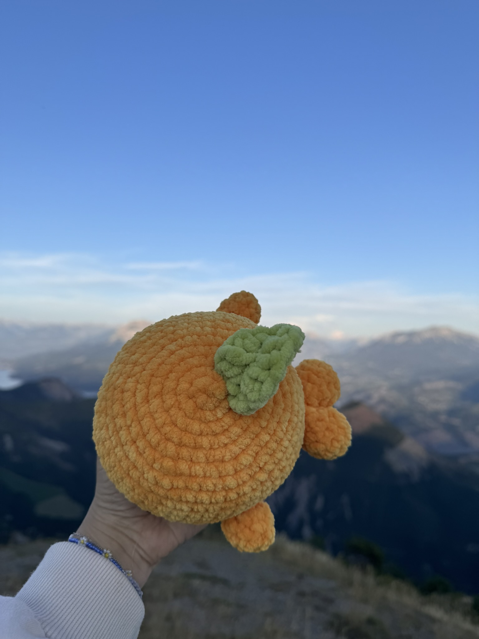 Baleine Orange – Image 4