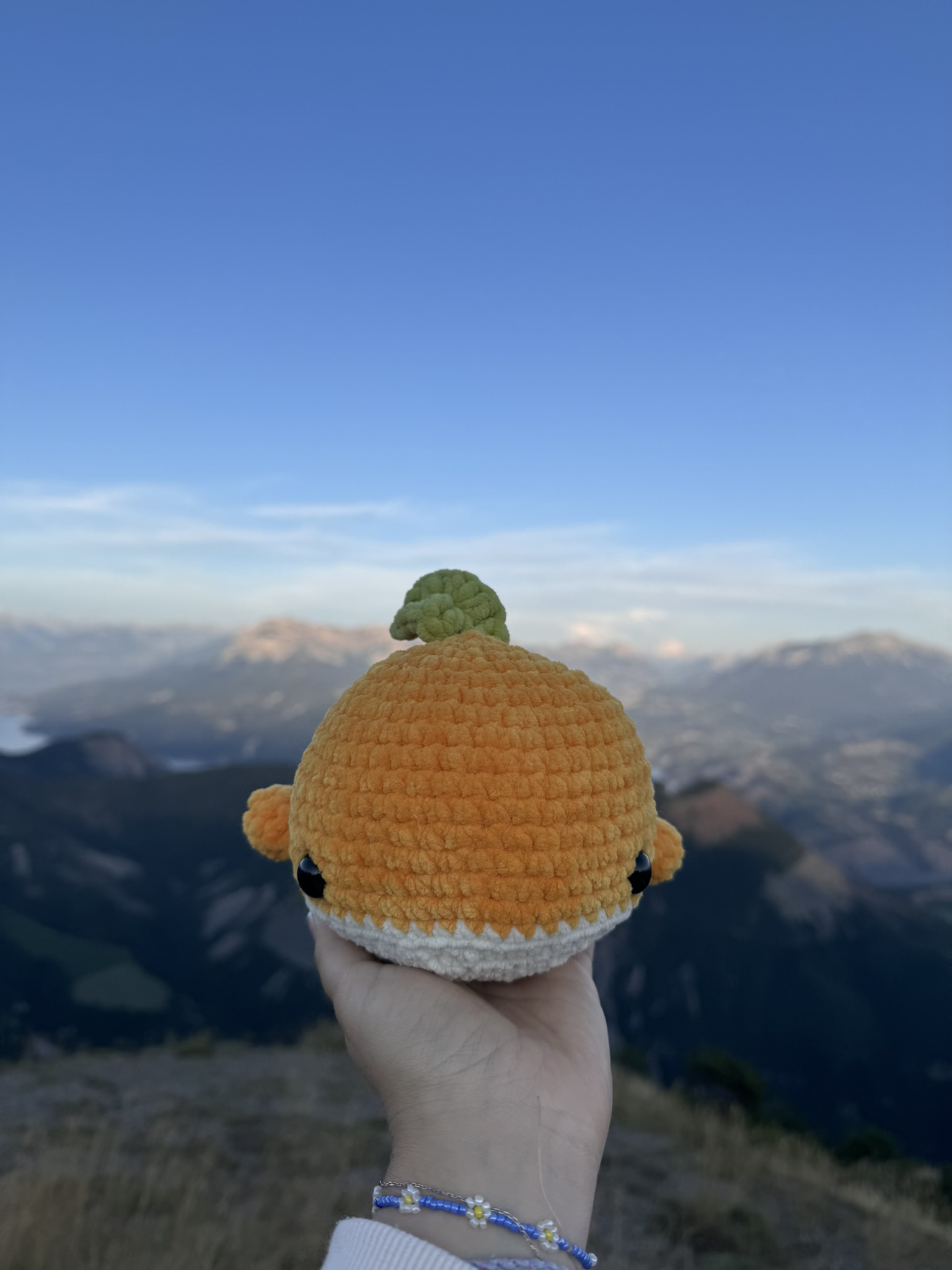 Baleine Orange – Image 3