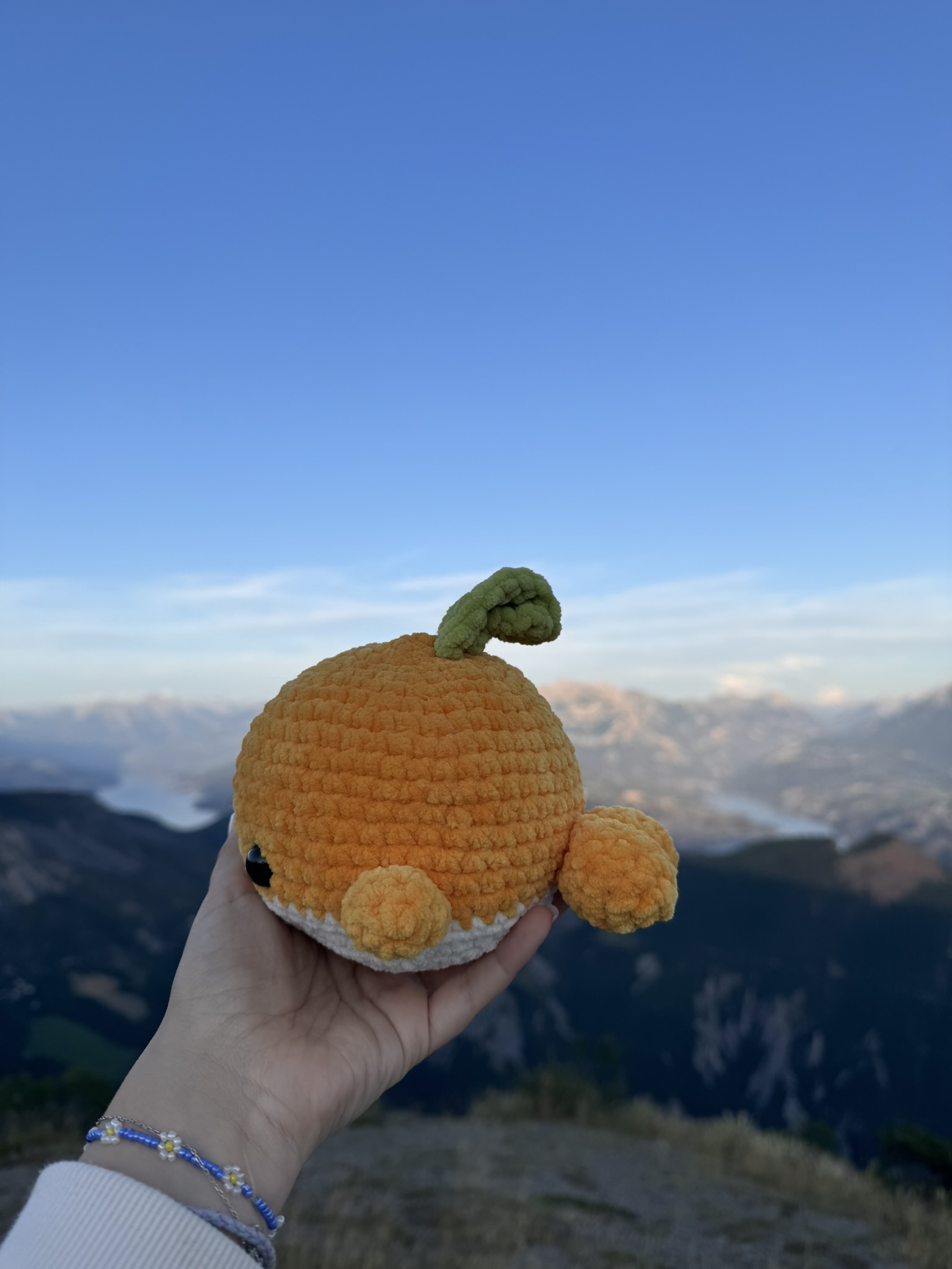 Baleine Orange – Image 2