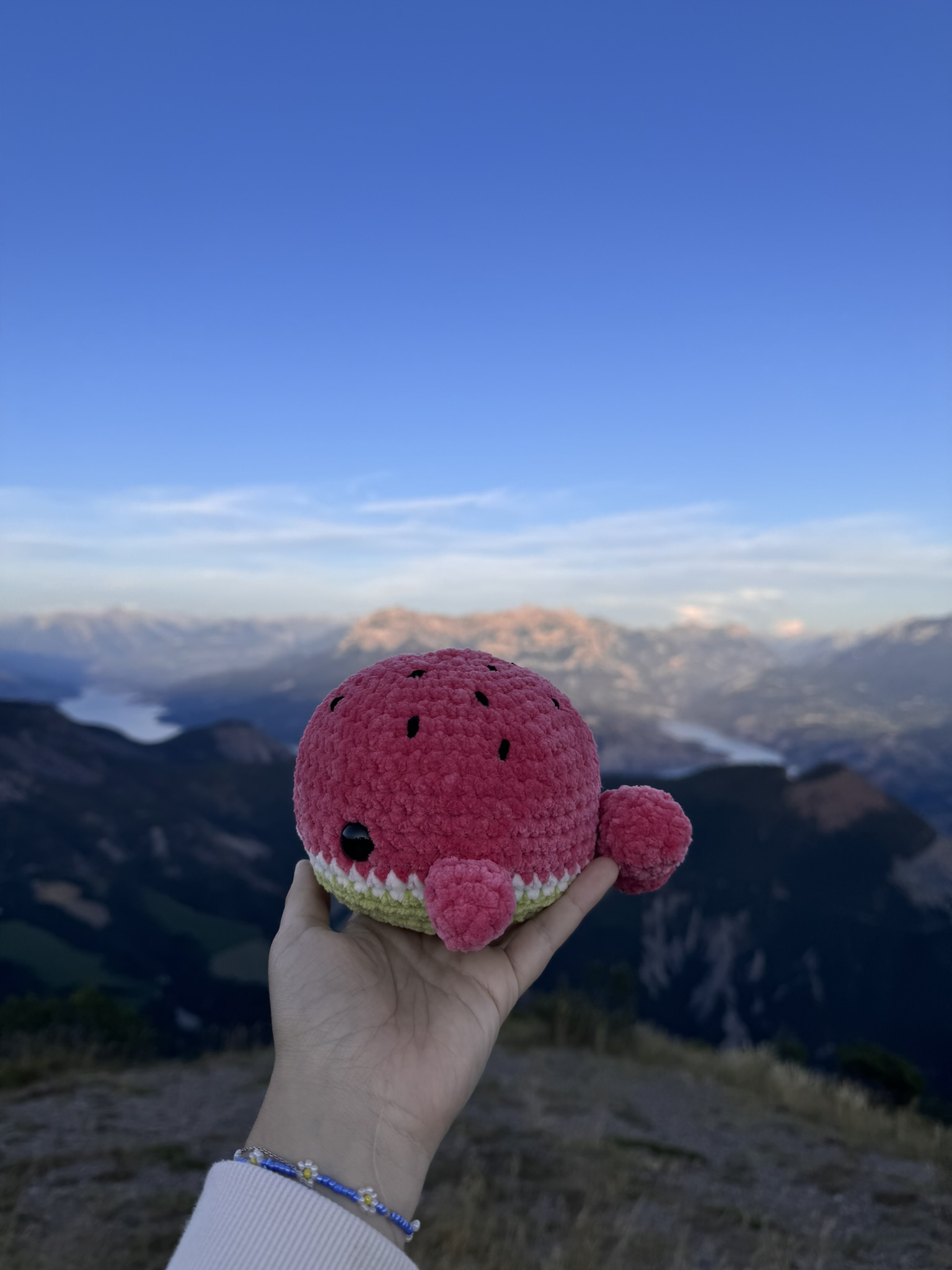 Baleine pastèque – Image 5