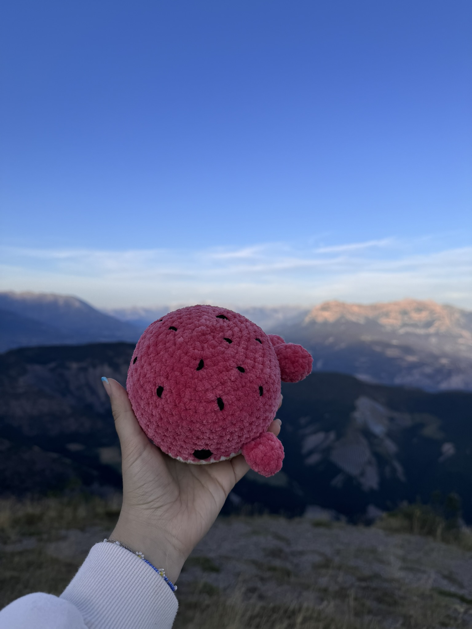 Baleine pastèque – Image 4