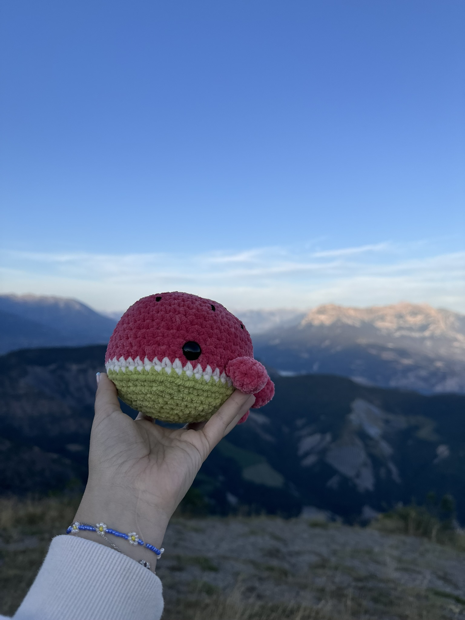 Baleine pastèque – Image 2