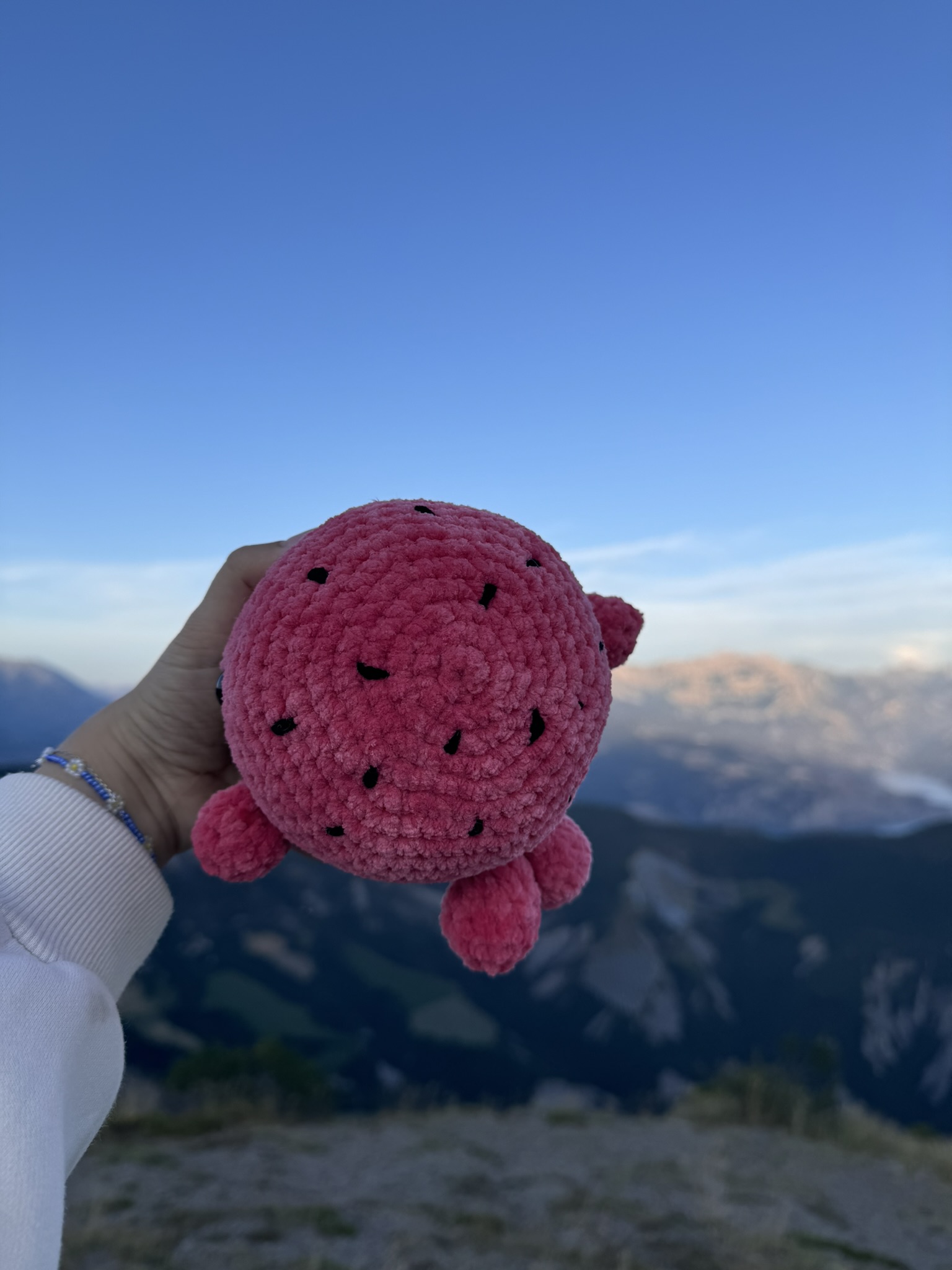 Baleine pastèque – Image 3