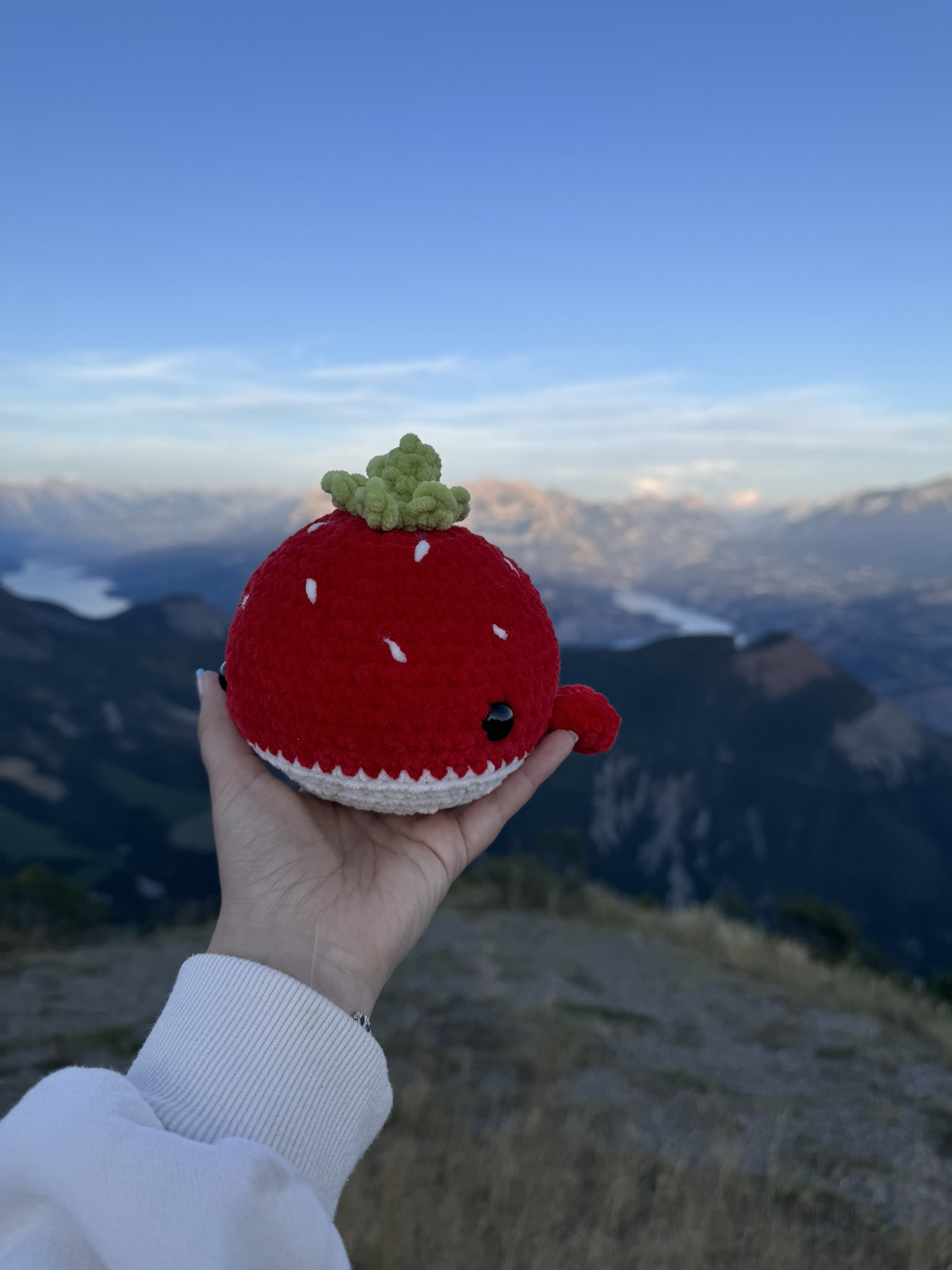 Baleine fraise – Image 5