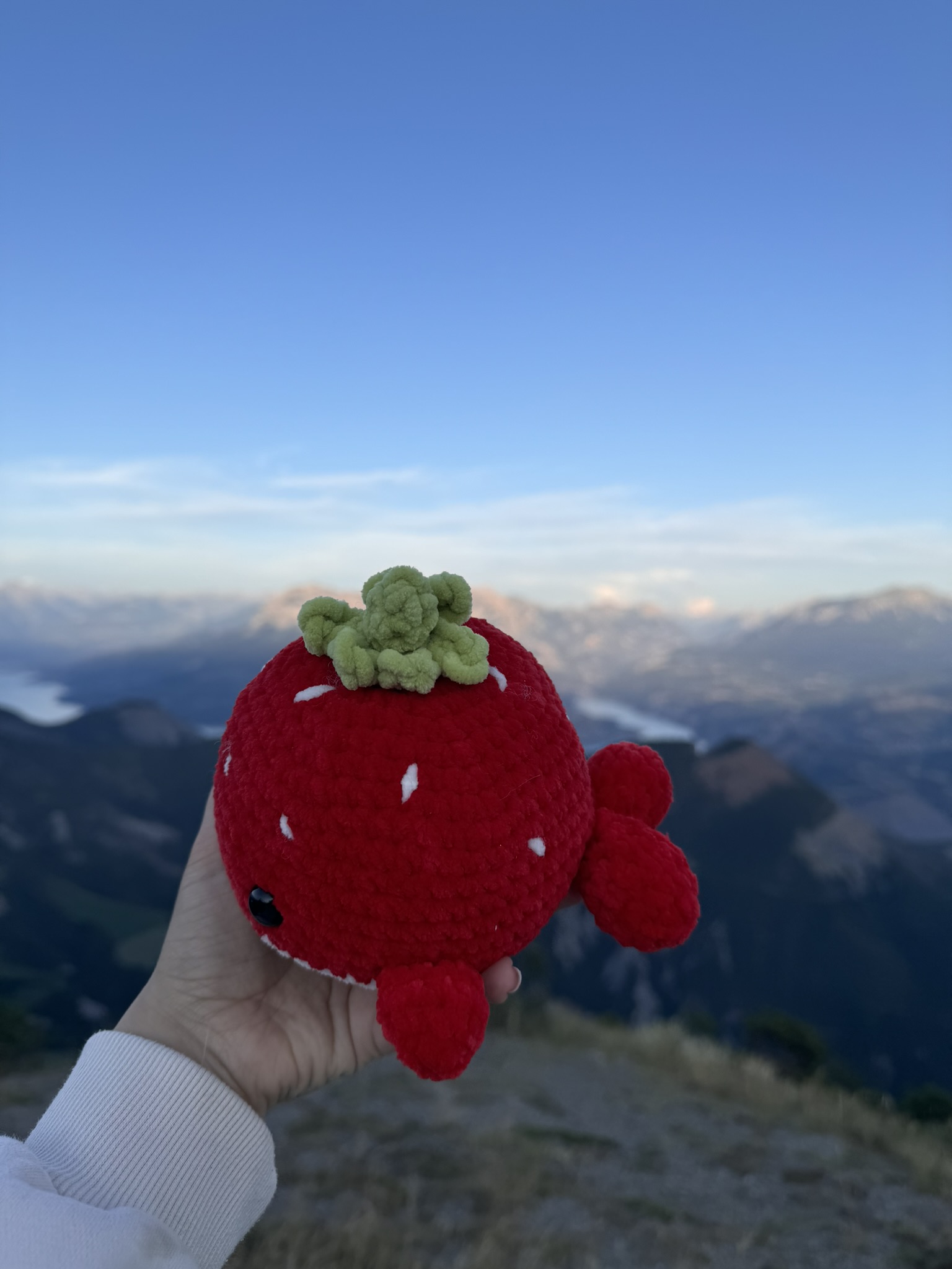 Baleine fraise – Image 4