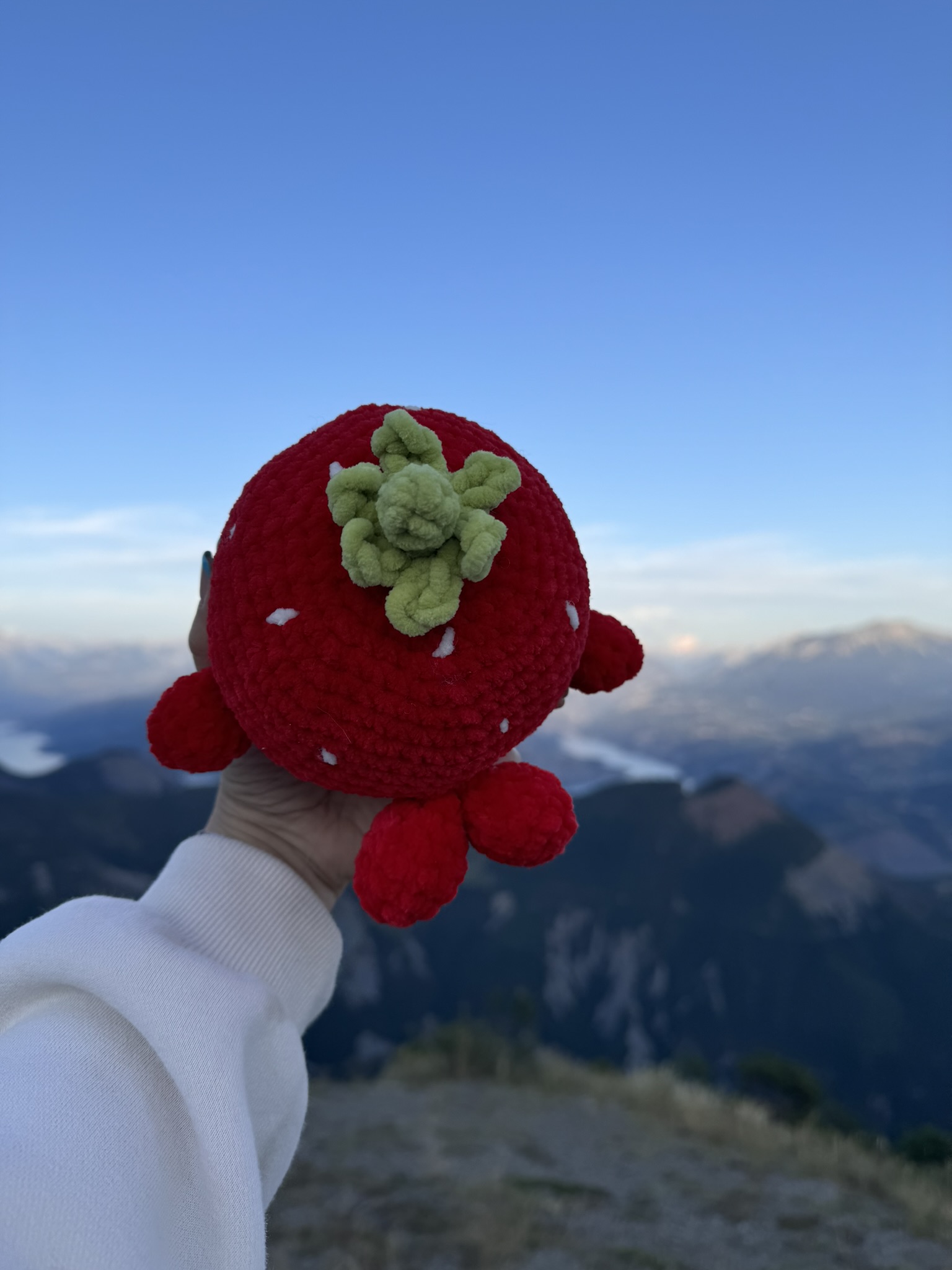 Baleine fraise – Image 3